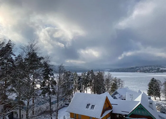 Апартаменты Luxury Lipno Липно-над-Влтавой