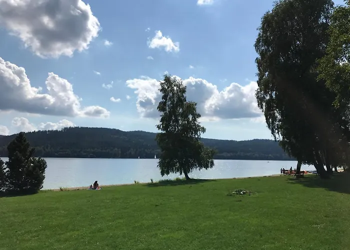 Апартаменты Luxury Lipno