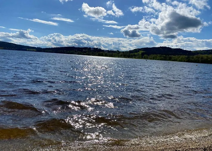 Апартаменты Luxury Lipno