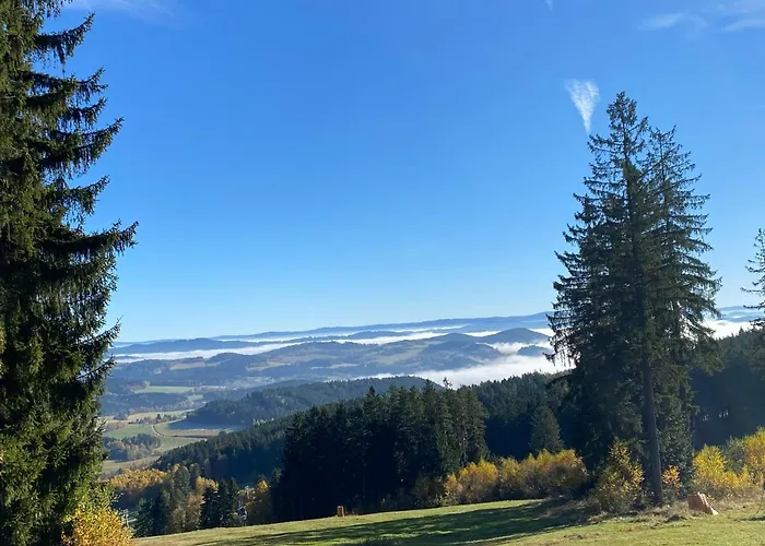 Luxury Lipno Апартаменты